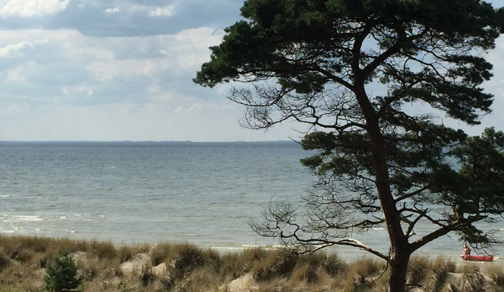 Küste an der Ostsee