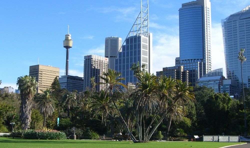Blick über Sydney