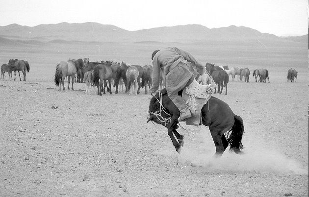 Mongolischer Reiter